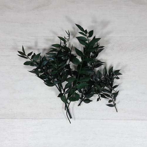 Ruscus - zöld, 10g